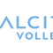 Calcit Volley
